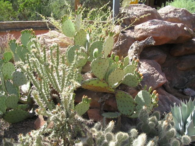 618x457 pixels (275K)